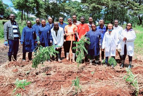 DEPT. OF ANIMAL PRODUCTION  TREE PLANTING INITIATIVE.